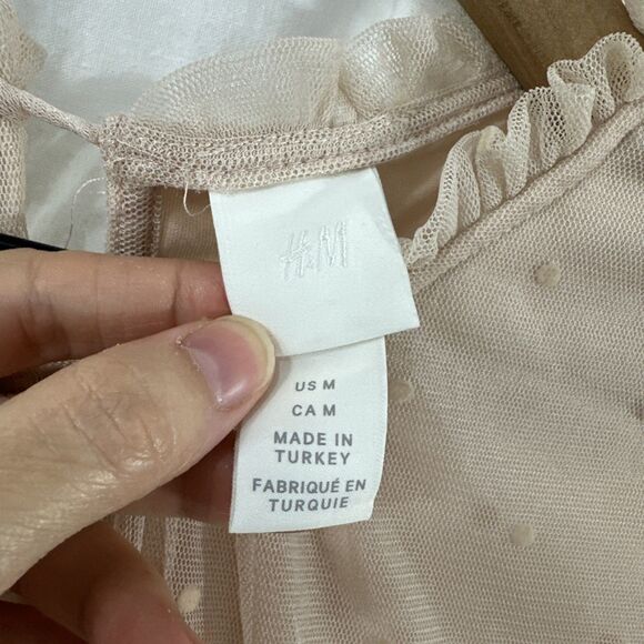 H&M Pink Swiss Dot Tulle Balletcore Romantic Semi-Sheer Dress Womens Size M - Picture 3 of 9